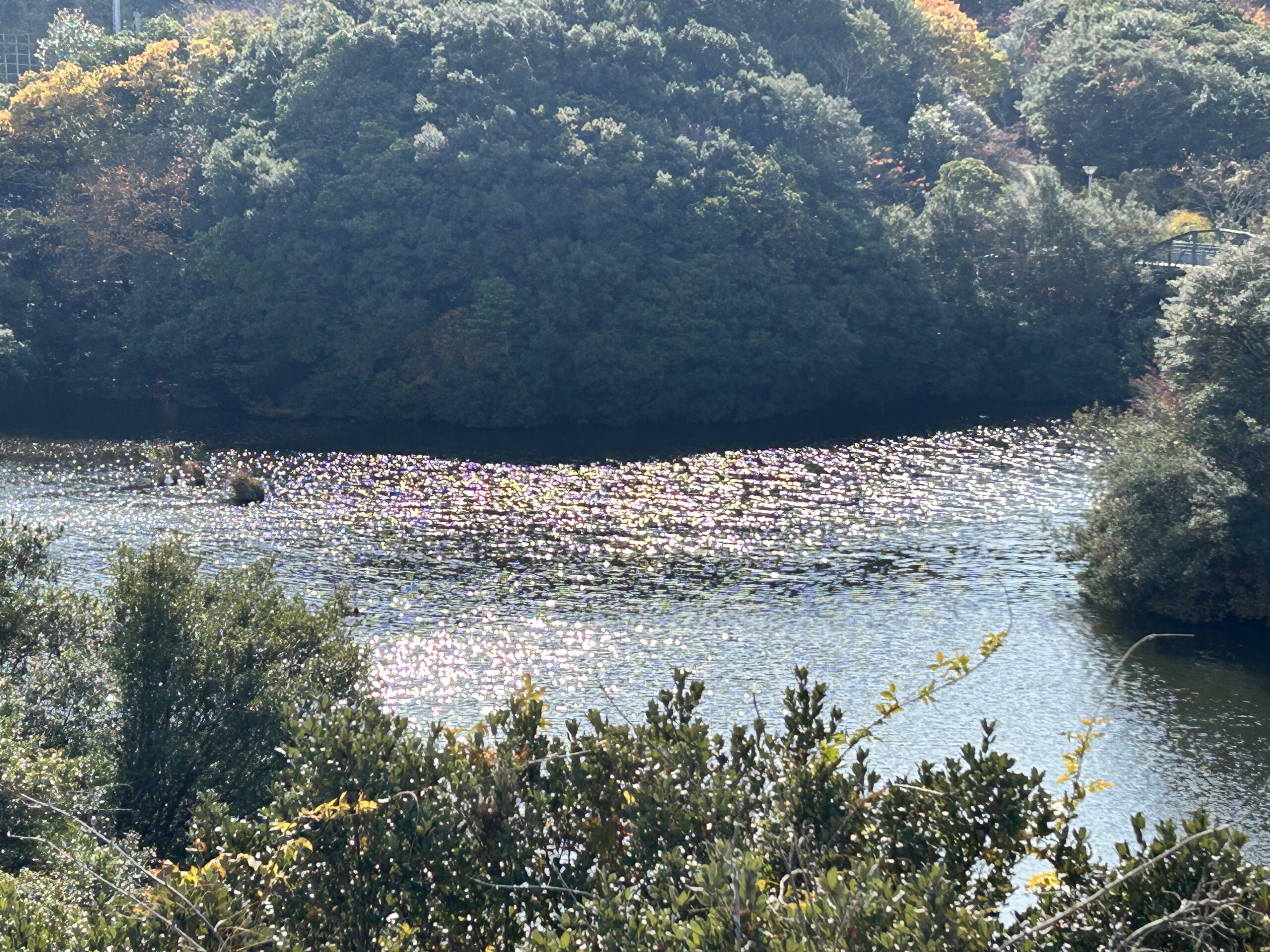 ニジゲンノモリ行く前の調べ | 天然石INORI